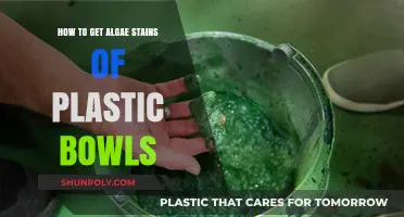 Effective Methods to Remove Algae Stains from Plastic Bowls Easily