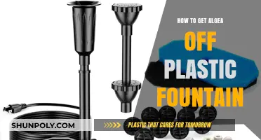Effective Ways to Remove Algae from Your Plastic Fountain Easily