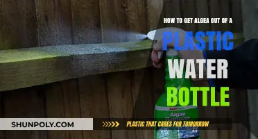 Effective Ways to Remove Algae from Plastic Water Bottles Easily