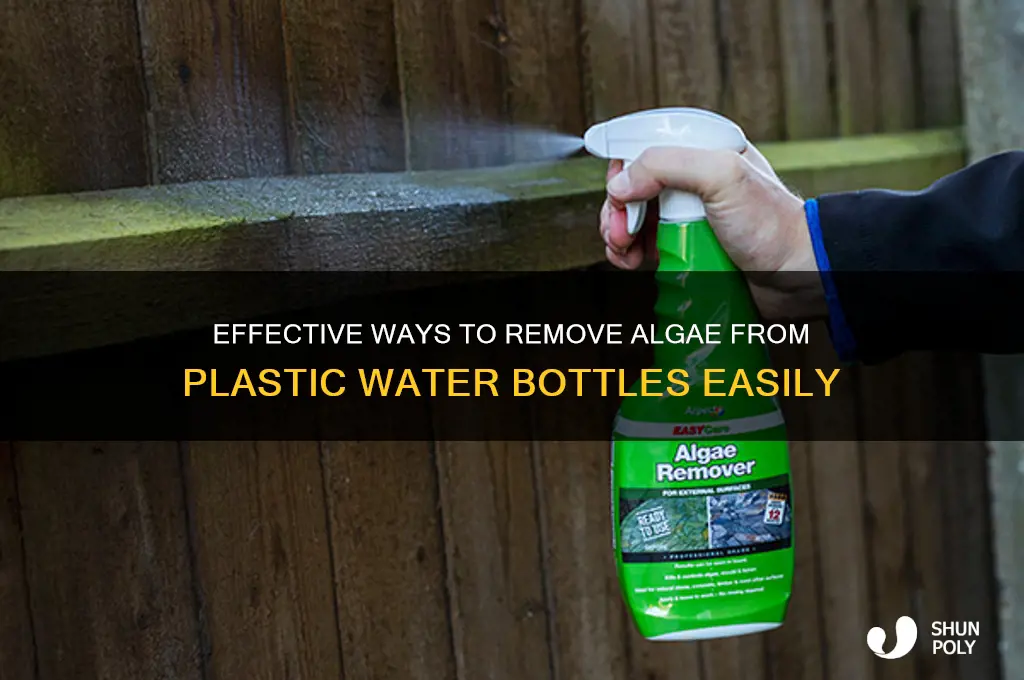 how to get algea out of a plastic water bottle