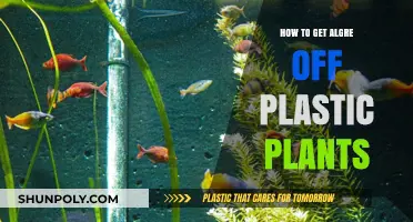 Effective Tips to Remove Algae from Plastic Plants Easily