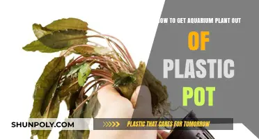 Removing Aquarium Plants from Plastic Pots: A Step-by-Step Guide