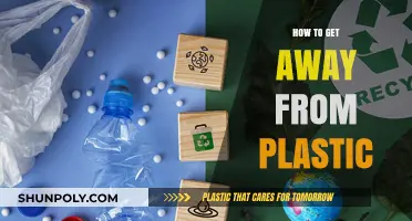 Ditch Plastic Forever: Sustainable Alternatives for a Greener Lifestyle