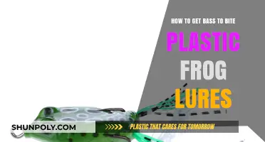 Mastering Bass Fishing: Tips for Luring Bites with Plastic Frogs