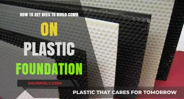 Encouraging Bees to Build Comb on Plastic Foundation: Tips and Tricks