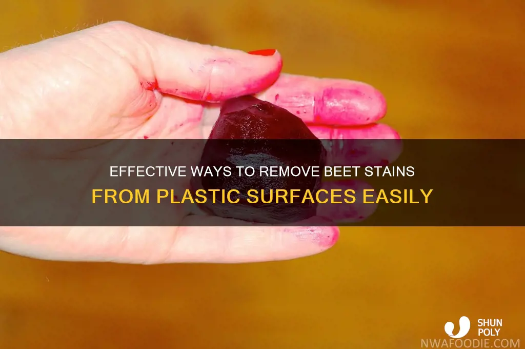 how to get beet stains of of plastic