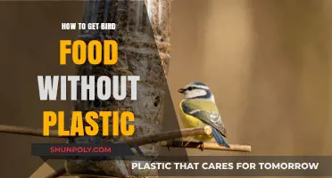 Eco-Friendly Bird Feeding: Plastic-Free Food Options for Your Feathered Friends