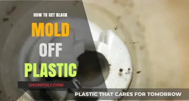Effective Ways to Remove Black Mold from Plastic Surfaces