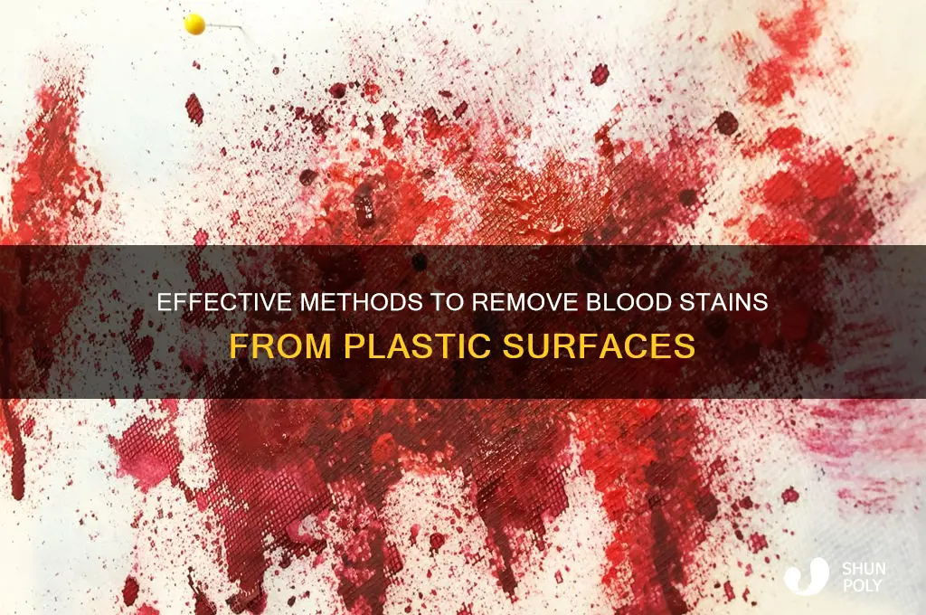how to get blood out of plastic