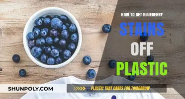 Effective Ways to Remove Blueberry Stains from Plastic Surfaces