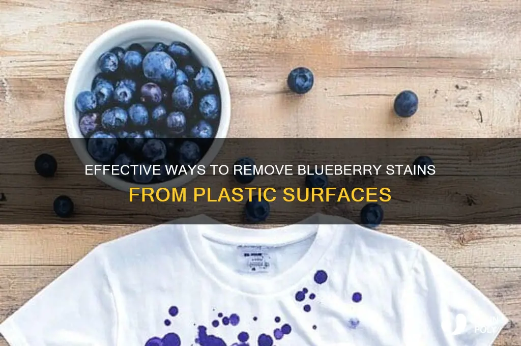 how to get blueberry stains off plastic