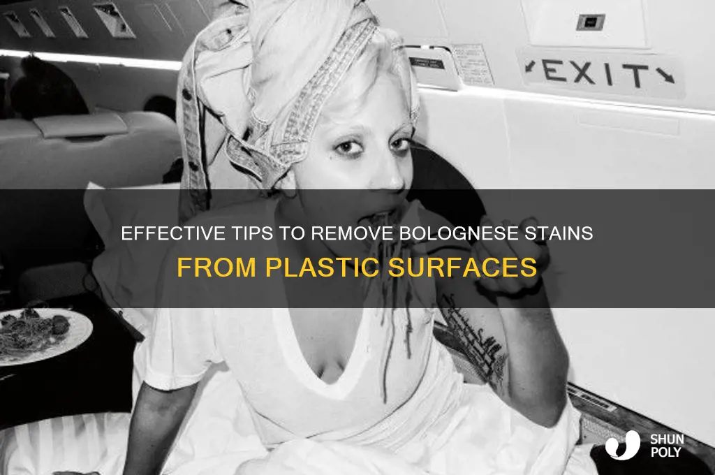 how to get bolognese stain out of plastic
