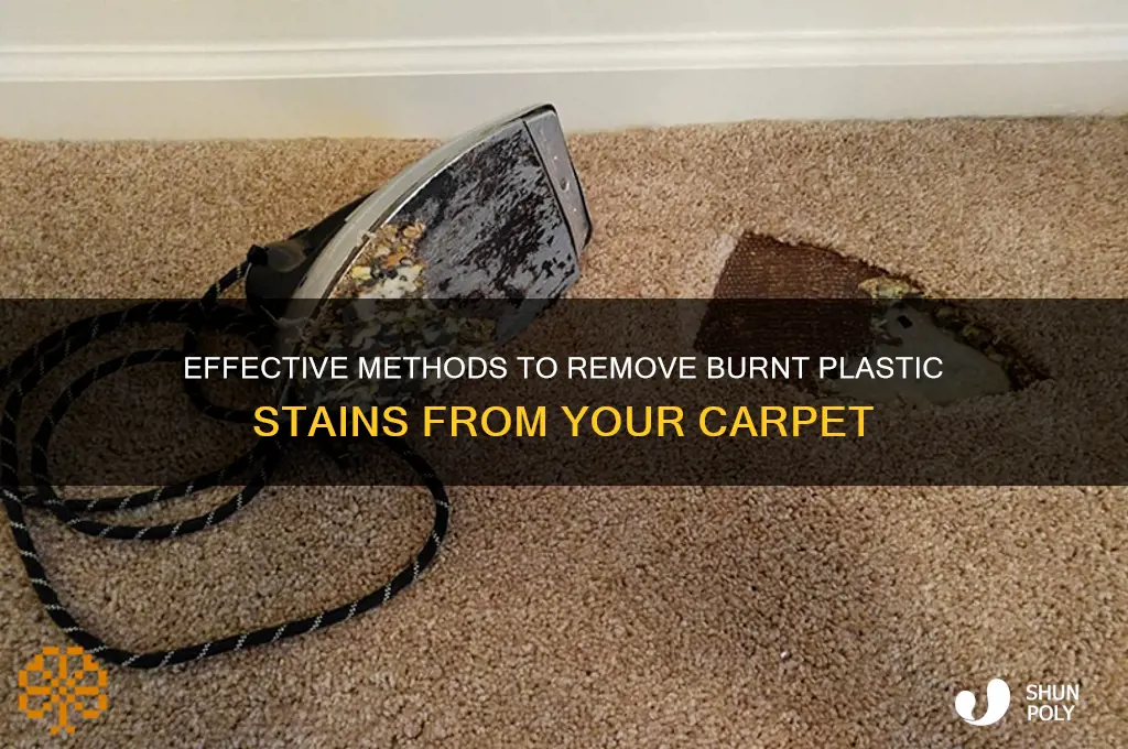 how to get burnt plastic out of carpet