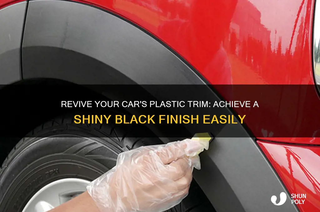 how to get car plastic shiny black