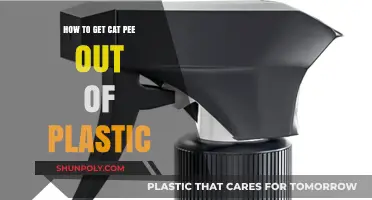 Effective Ways to Remove Cat Urine Stains from Plastic Surfaces