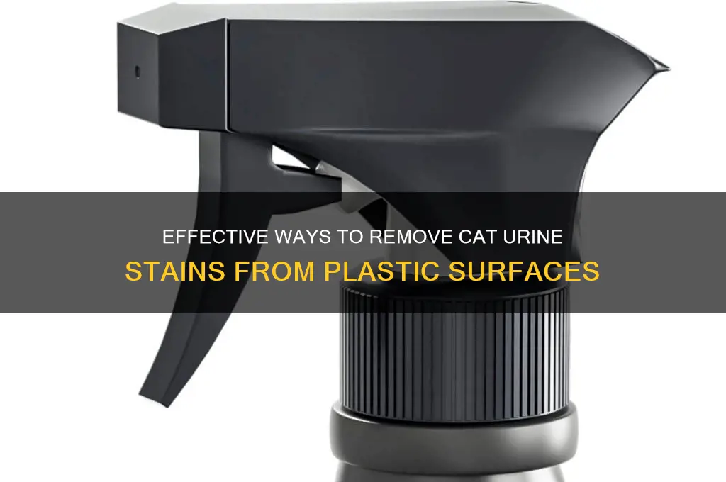 how to get cat pee out of plastic