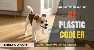 Eliminate Cat Pee Odor: Effective Tips for Cleaning Plastic Coolers