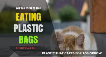 Preventing Plastic Bag Consumption: Tips to Keep Your Cat Safe