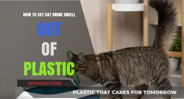 Effective Ways to Remove Cat Urine Odor from Plastic Surfaces