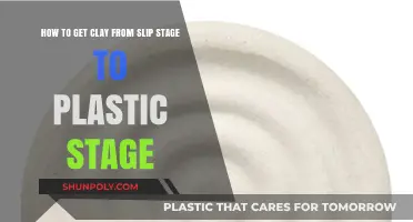 Transforming Clay: Mastering the Slip to Plastic Stage Transition