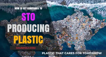 Ending Plastic Production: Strategies to Convince Companies to Go Green