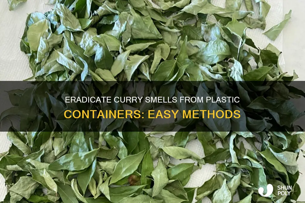 how to get curry smell out of a plastic container