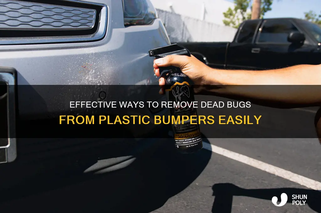 Better Ways To Get Dead Bugs Off The Car