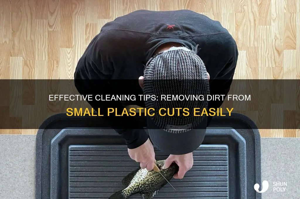 how to get dirt out of smal cuts of plastic