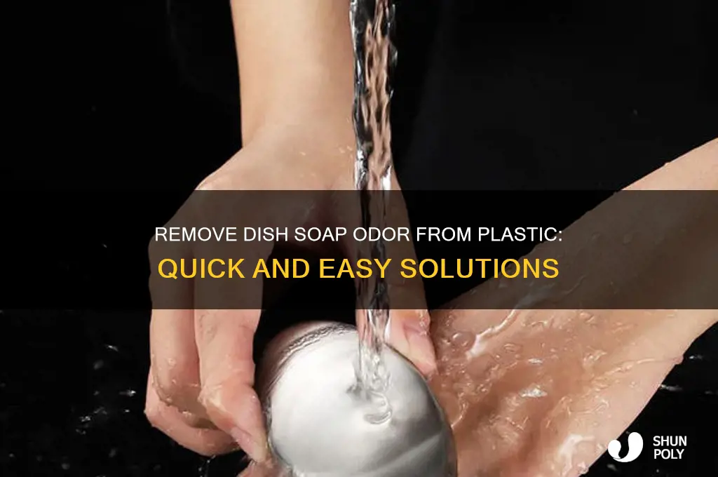 how to get dish soap smell out of plastic