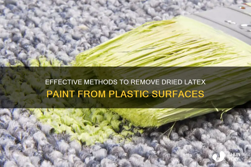 how to get dried latex paint off plastic