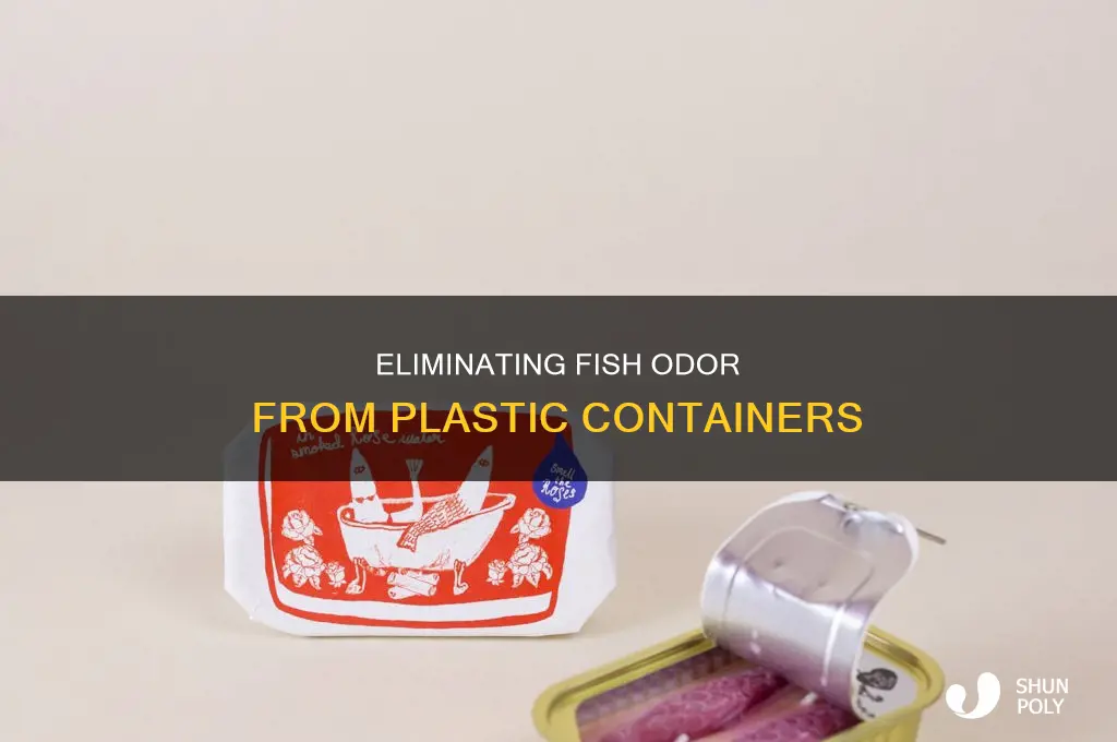 how to get fish smell out of plastic containers