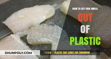 Eliminate Lingering Fish Odor: Effective Tips for Cleaning Plastic Containers