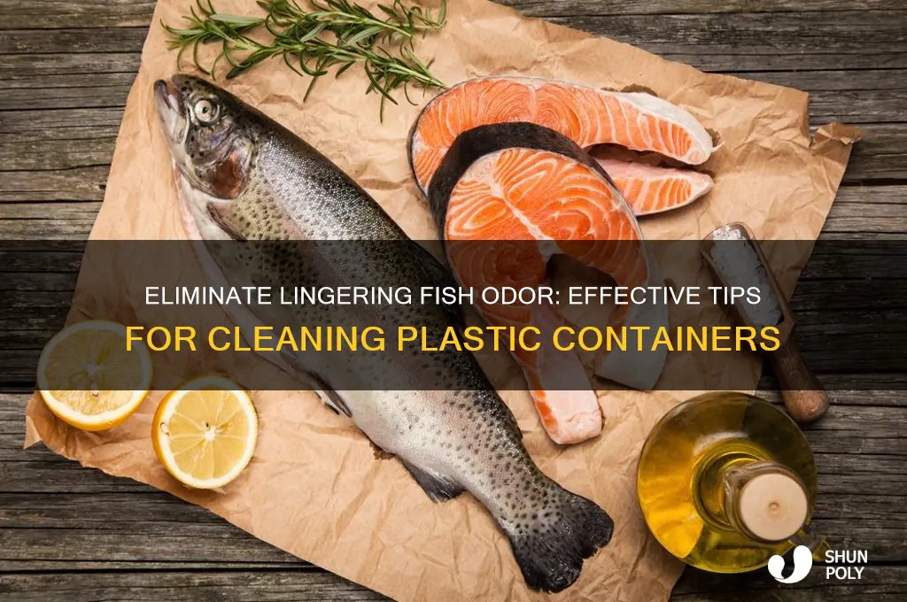 how to get fish smell out of plastic