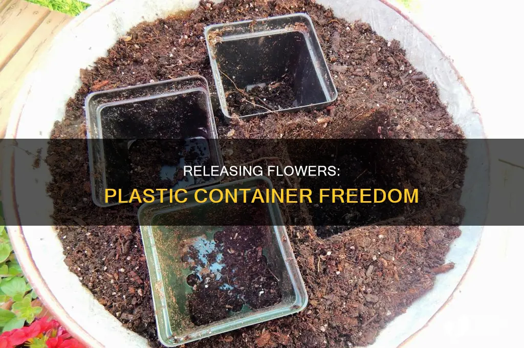 how to get flowers out of plastic containers