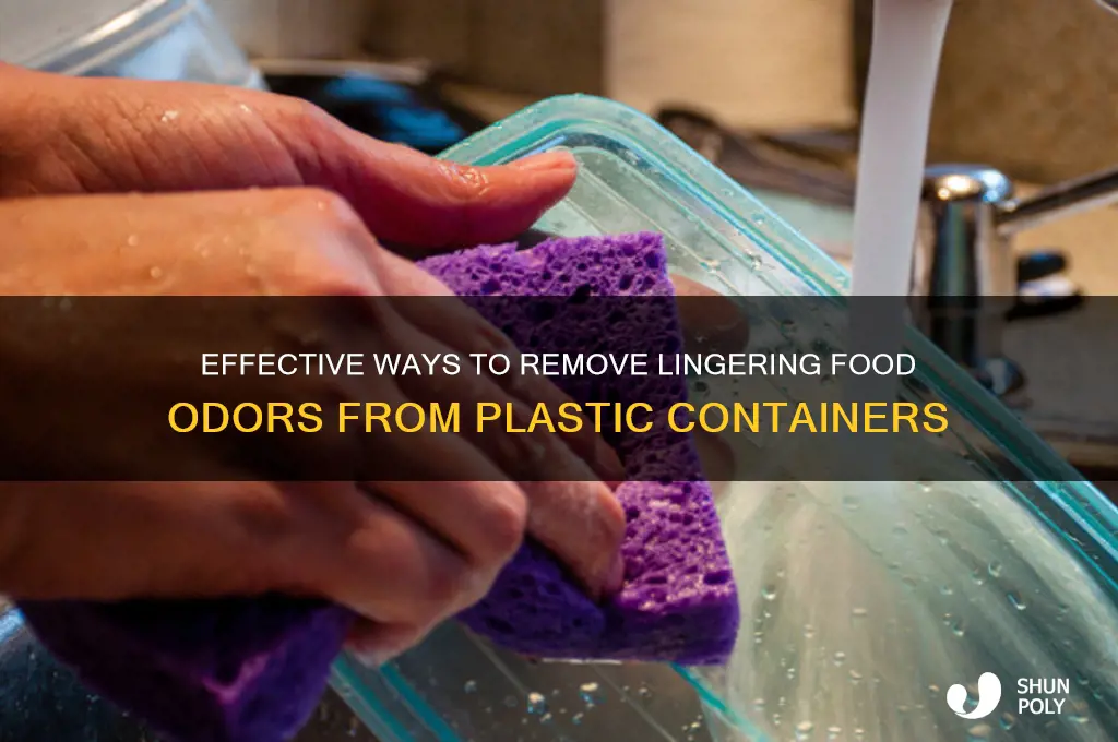 how to get food smell out of plastic containers