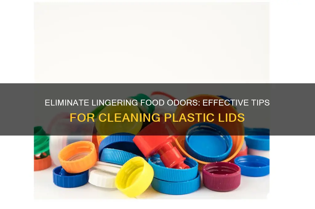 how to get food smells out of plastic lifs