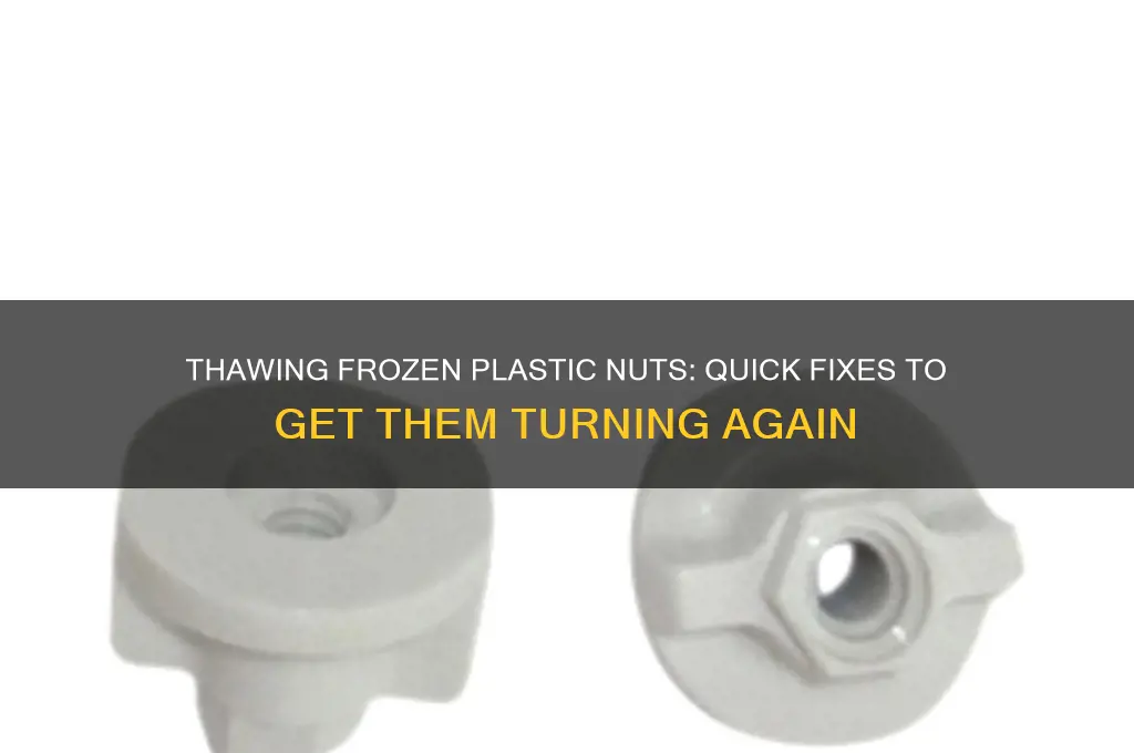 how to get frozen plastic nuts to turn