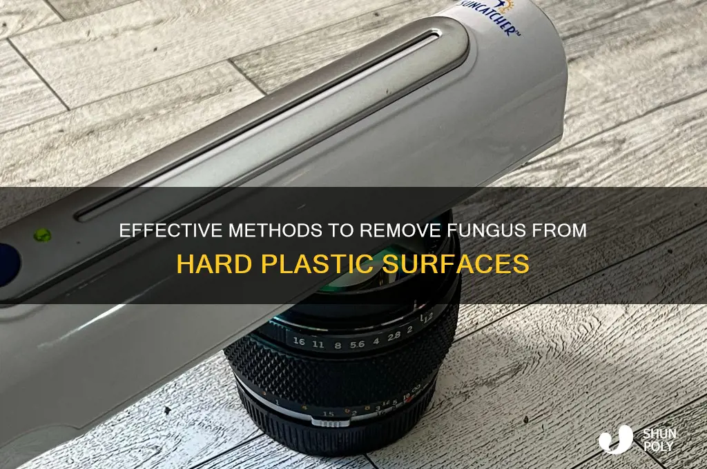 how to get fungus off a hard plastic surface