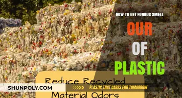 Eliminate Fungus Odor: Effective Tips to Deodorize Plastic Items Fast