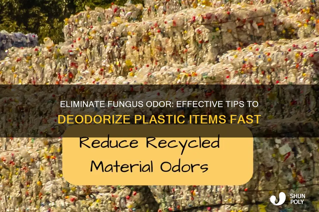 how to get fungus smell our of plastic