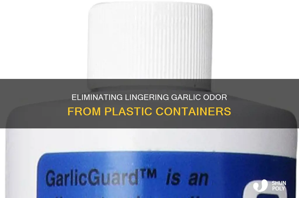 how to get garlic odor out of plastic container