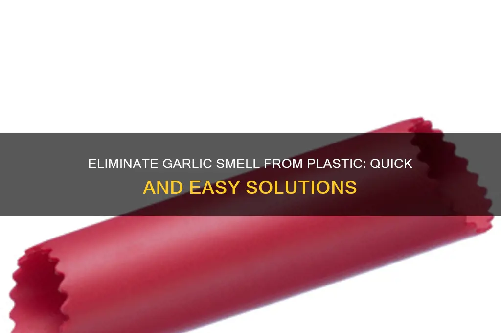 how to get garlic odor out of plastic
