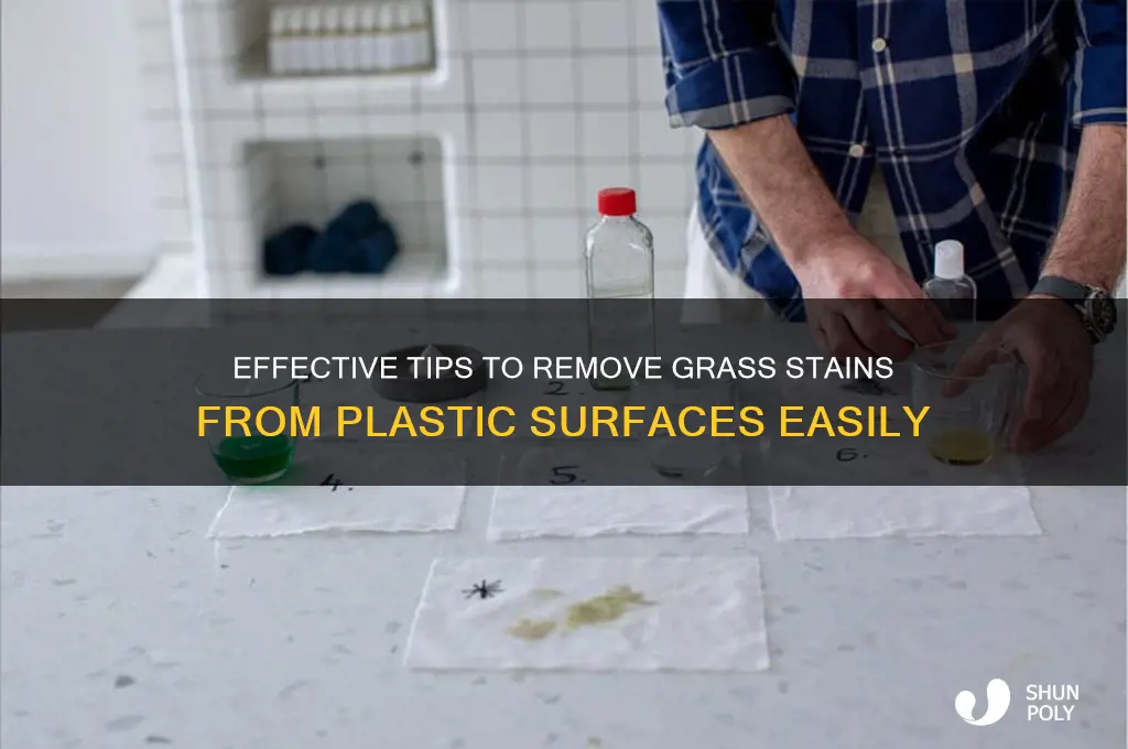 how to get grass stains out of plastic