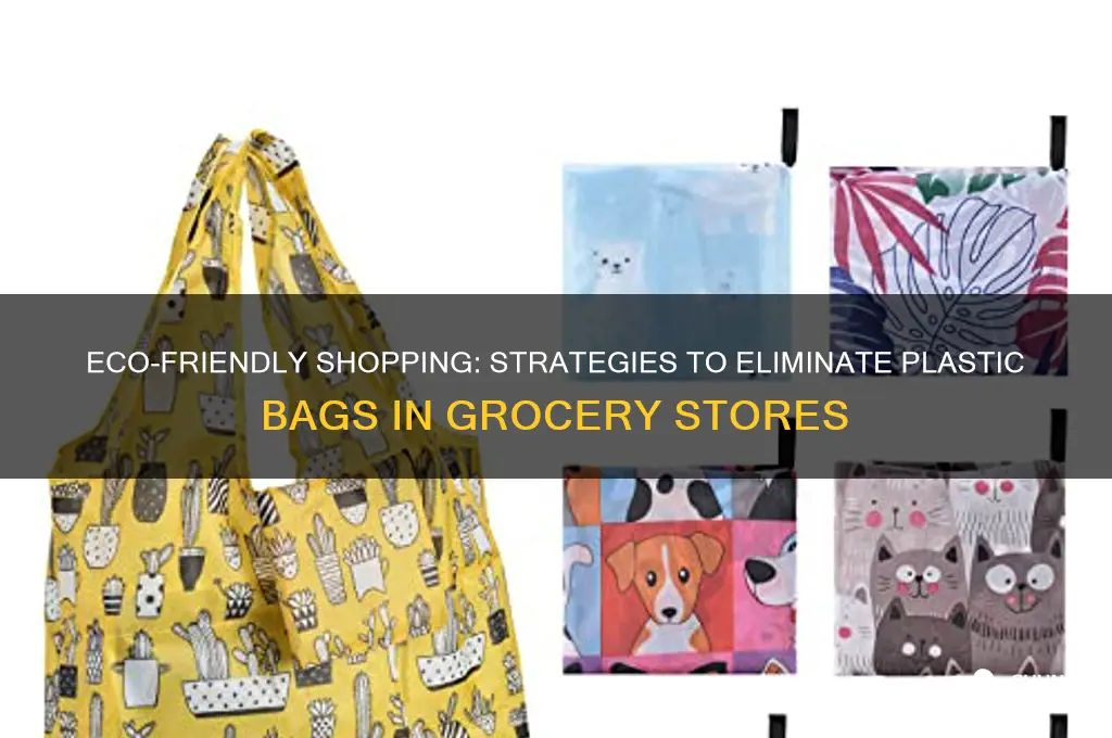 how to get grocery stores to not use plastic bags