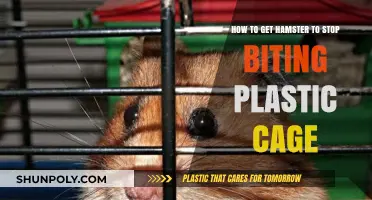 Prevent Hamster Cage Biting: Effective Solutions for Plastic Chewing Habits