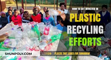 Join the Movement: Simple Steps to Engage in Plastic Recycling