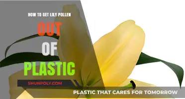 Effective Methods to Remove Lily Pollen Stains from Plastic Surfaces