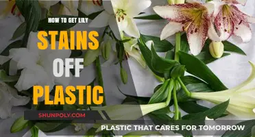 Effective Tips to Remove Lily Stains from Plastic Surfaces Easily