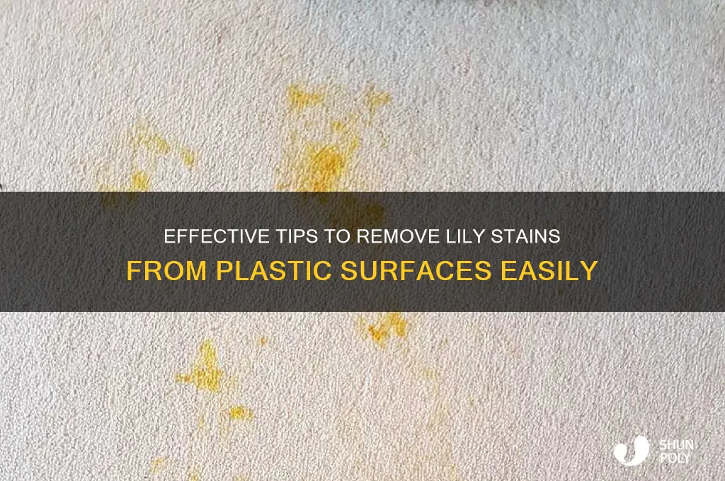 how to get lily stains off plastic