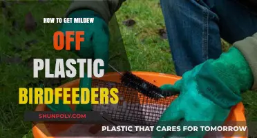 Effective Ways to Remove Mildew from Plastic Birdfeeders Easily